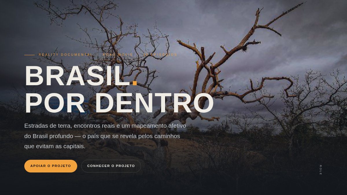 BRASIL POR DENTRO — capa do projeto